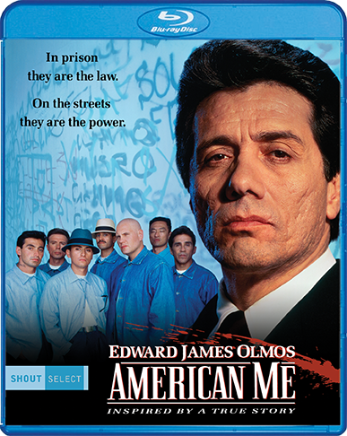 AmerMe_BR_Cover_72dpi.png