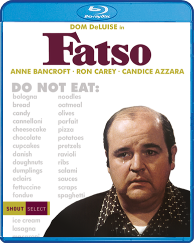Fatso_BR_Cover_72dpi.png