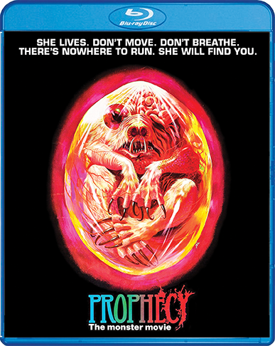 Prophecy_BR_Cover_72dpi.png