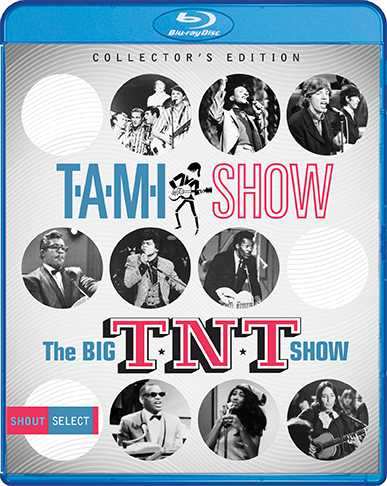 TAMI-TNT.BR.Cover.72dpi.png