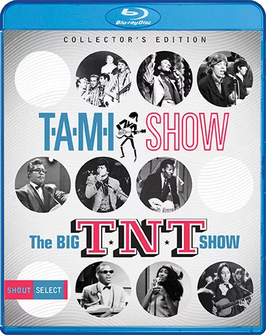 TAMI-TNT.BR.Cover.72dpi.png