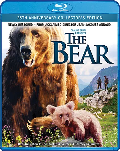BearBRCover72dpi.png