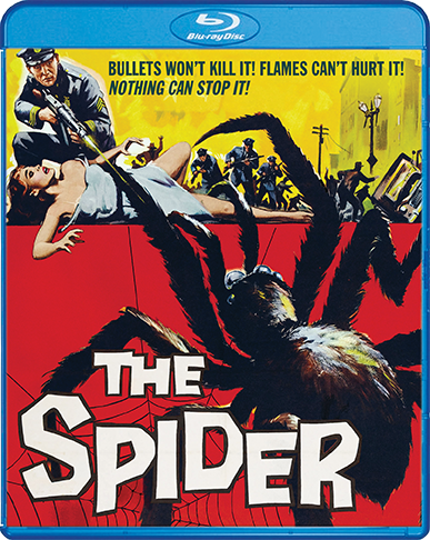 Spider_BR_Cover_72dpi.png