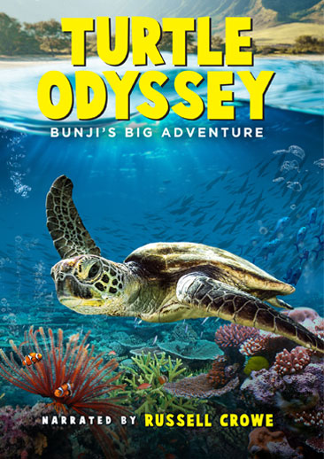 IMAX_Turtle_Odyssey_DVD_Cover_72dpi.jpg
