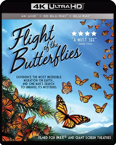Flight Of The Butterflies