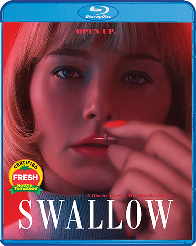 Swallow_BR_Cover_72dpi.png