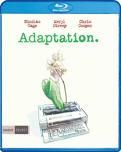 Adaptation_BR_Cover_72dpi.png
