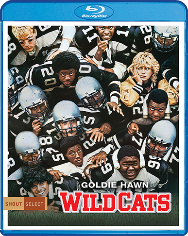 Wildcats_BR_Cover_72dpi.png