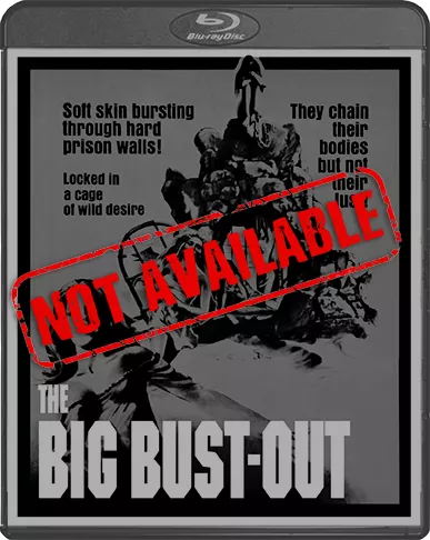 The Big Bust-Out (SOLD OUT)